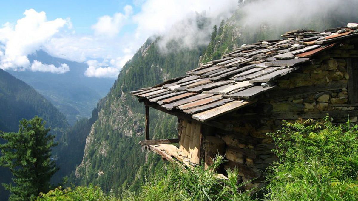 Latest news on Himachal Pradesh | ThePrint.in Marijuana farm in Malana