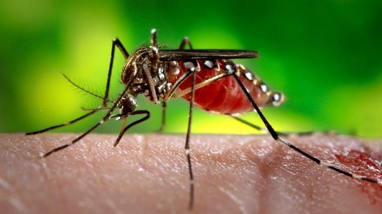 Madhya Pradesh records 127 cases of Zika but reports of fatalities false, says govt