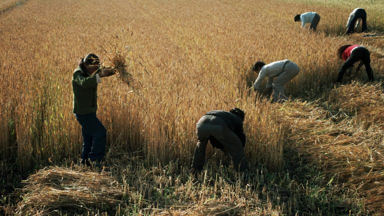 China has made a shocking food production discovery – electro culture