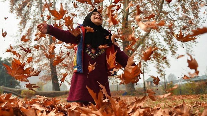 Srinagar: A girl plays with the Chinar leaves at the Mughal Garden, during autumn in Srinagar, Sunday, November 18, 2018. Autumn which sets in from September to November is known as golden season of the valley when the colours of Chinar leaves turn into golden red. Kashmiris collect these Chinar leaves and make charcoal to use during winter to beat the cold. (PTI Photo/S Irfan) (PTI11_18_2018_000078B)