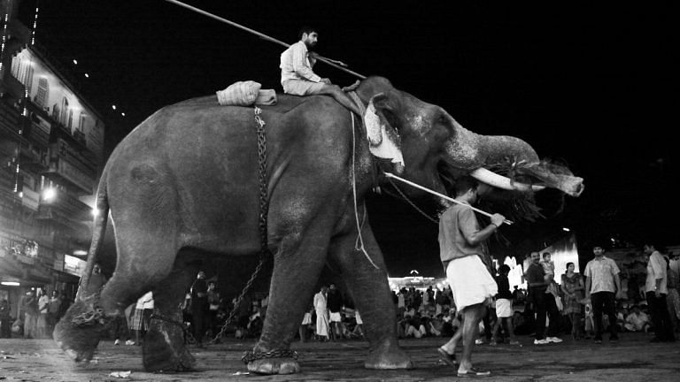 Centre proposes ban on performance of animals in circuses