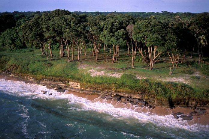 Aerial view of a beach in Gabon | plantravel.ru