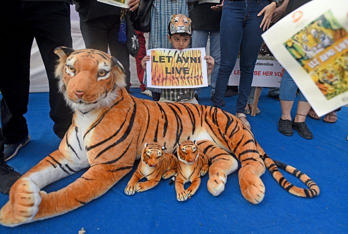Bezubaan Public Welfare And Locals Protest Against For Shoot-At- Sight Order For National Animal Tigress