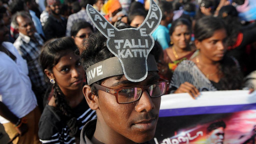 Protesters during a demonstration against the ban on the Jallikattu bull taming ritual in Chennai in 2017 | Arun Sankar/AFP/Getty Images