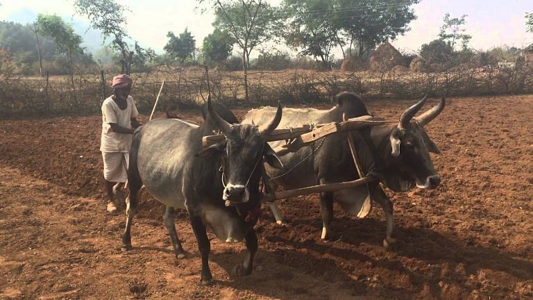 Modi raj is the most anti-farmer regime in India’s history