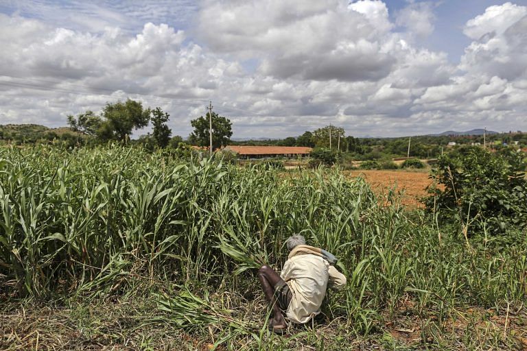 BJP, Shiv Sena are busy playing power games, no one cares about Maharashtra’s farm crisis