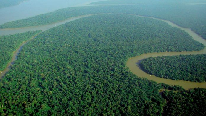 Deforestation Has Wiped Out 8 Of Amazon Rainforest In Just 18 Years