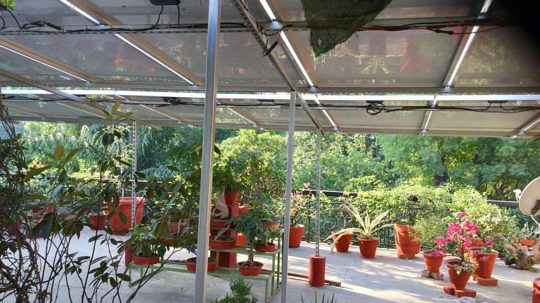 Read this before you set up solar panels at home
