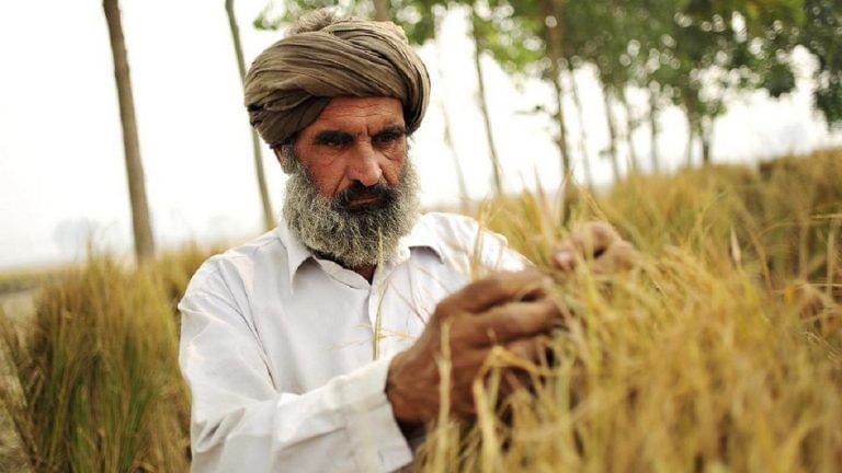 Why higher MSPs don’t really help the Indian farmer in the long run
