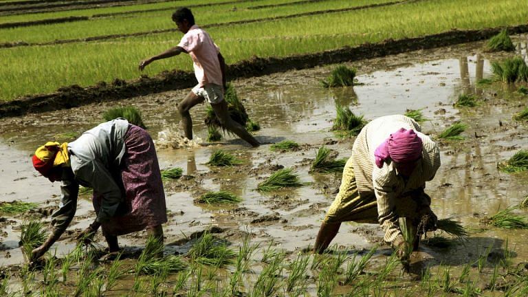 Indian policymakers get it wrong because farmers’ lack of market access ...