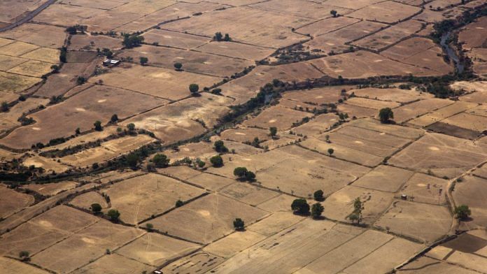 Farm land on the outskirts of Gwalior, Madhya Pradesh | Udit Kulshrestha/Bloomberg