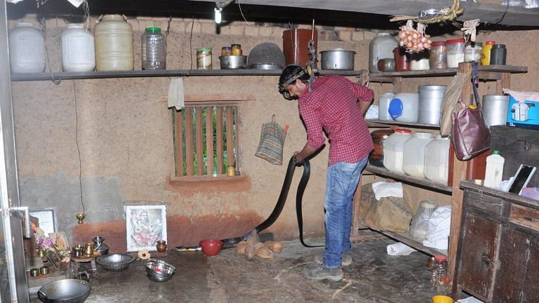Why thousands of Indians continue to die of snakebites