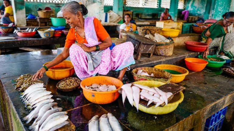 Bihar govt bans fish in Patna for 15 days after finding cancer-causing chemicals
