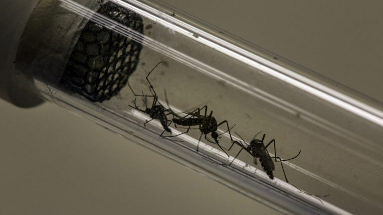 Covid lockdowns may be causing another virus wave — dengue fever