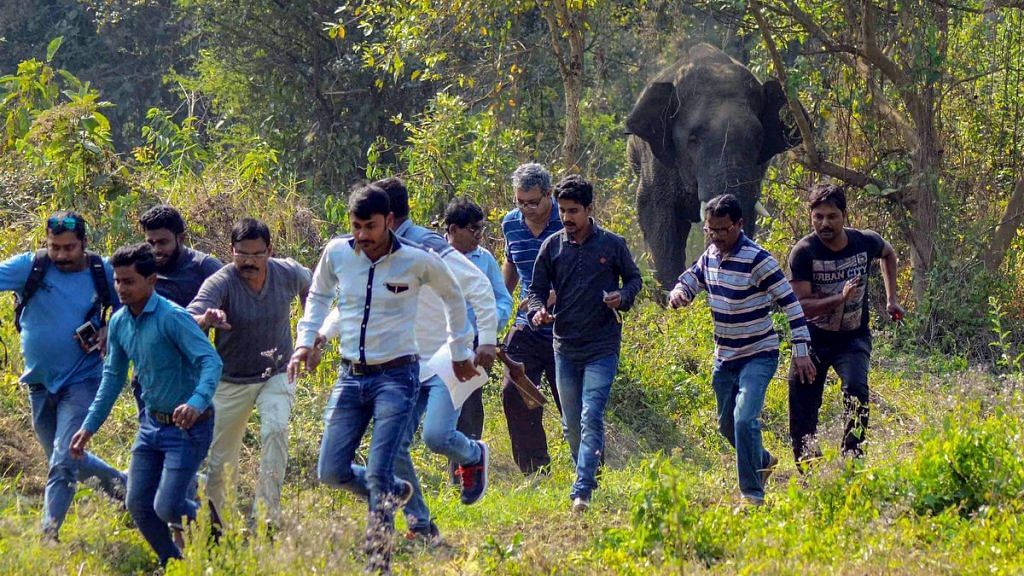 Locals run for cover after being chased by wild elephants in Howrah district of West Bengal | PTI