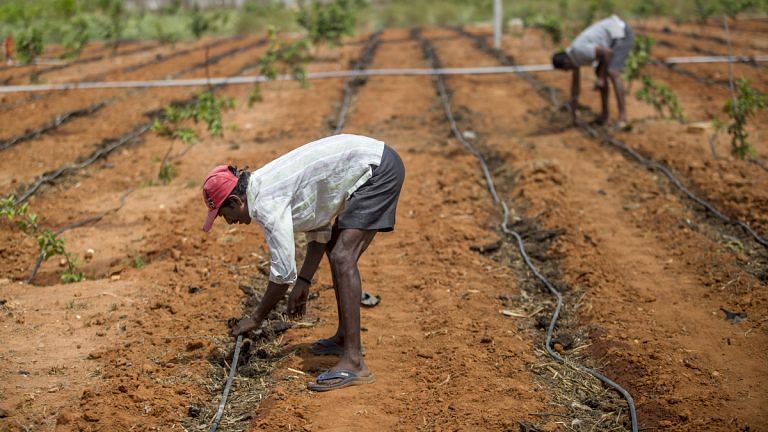 Why 116 Dalit farmers in Gujarat want police protection from upper caste ‘encroachers’