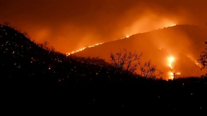 Flames arise after a forest fire at Bandipur Tiger Reserve | PTI