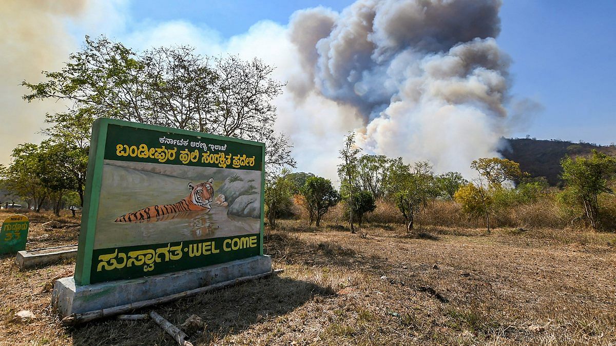Smoke see at Bandipur Tiger Reserve | PTI