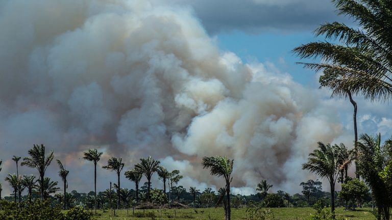 The Amazon is burning in 2020 again. It can just lead to more pandemics