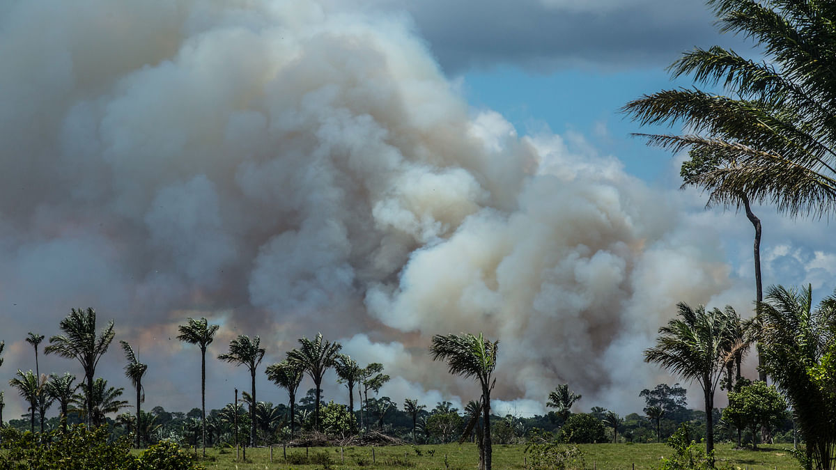 The Amazon Is Burning In Again It Can Just Lead To More Pandemics