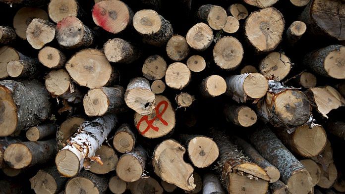 A large pile of unprocessed logs| Daniel Acker/Bloomberg