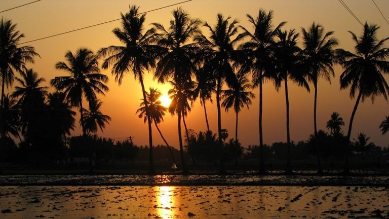 MY543 Tamil Nadu-Kancheepuram