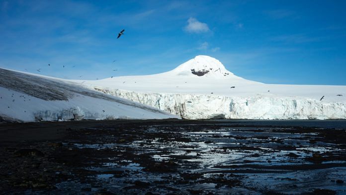 Birds fly over the Quito Glacier on Greenwich Island, Antarctica