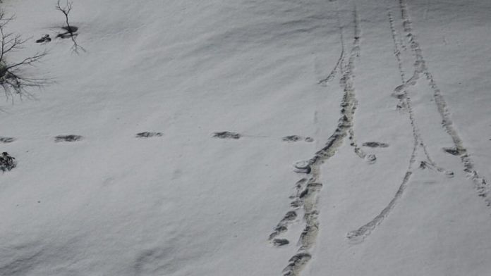 The 'mysterious footprints' of the Yeti which the Indian Army claims to have found | @adgpi/Twitter