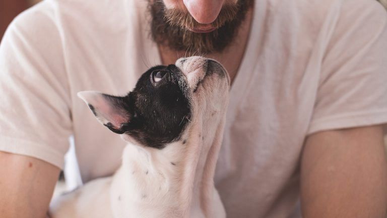 Pet owners value dogs over cats & it’s all about wanting to be masters