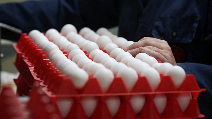 A worker sorts eggs on a farm Canada