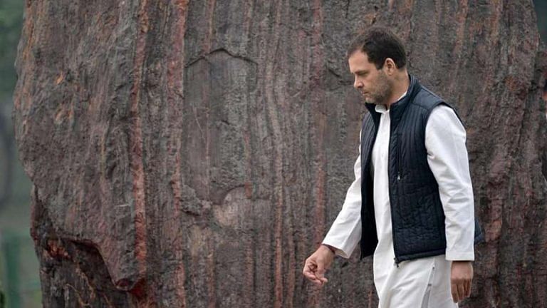 Congress insider reveals Rahul Gandhi blamed 3 leaders for placing sons before party