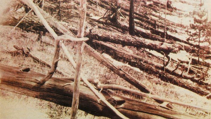 The flattened trees in Tunguska. | Commons