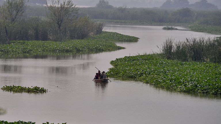 HC wants Haryana to ensure water supply to Delhi & monitor Yamuna via Google mapping