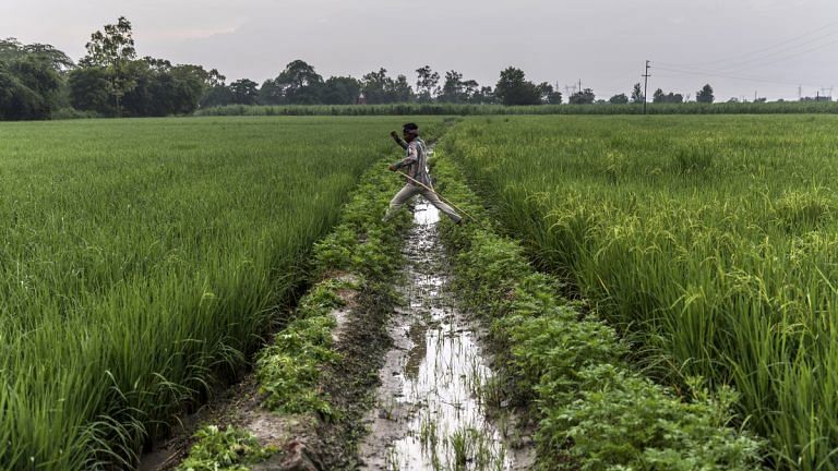 Let farmers lease land like people rent houses – Land laws are holding India back