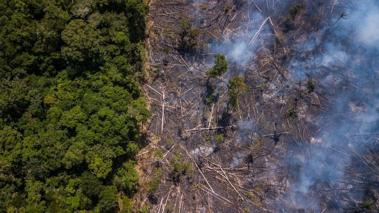 Brazil’s president wants to deforest the Amazon, and the UN has few options to stop him