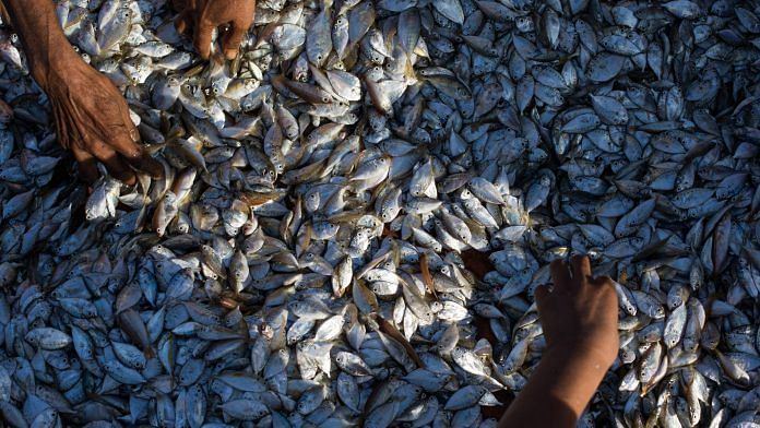 Fish farming