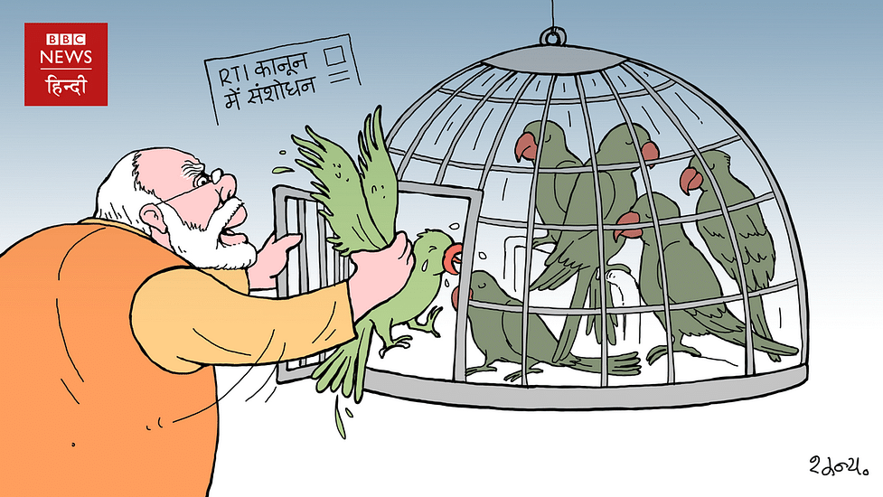PM Modi adds a new parrot in the cage as Rahul Gandhi takes a pleasant nap