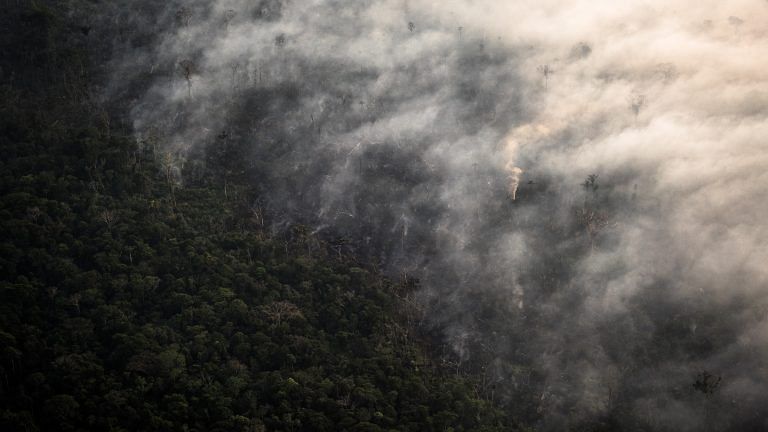 Many reasons to be appalled by Amazon fires but depleting oxygen supply not one of them