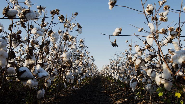 How slavery hurt the US economy: Karl W. Smith
