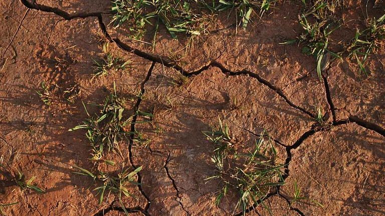 India needs farming overhaul as Northeast and J&K get hotter, Gujarat & Rajasthan colder