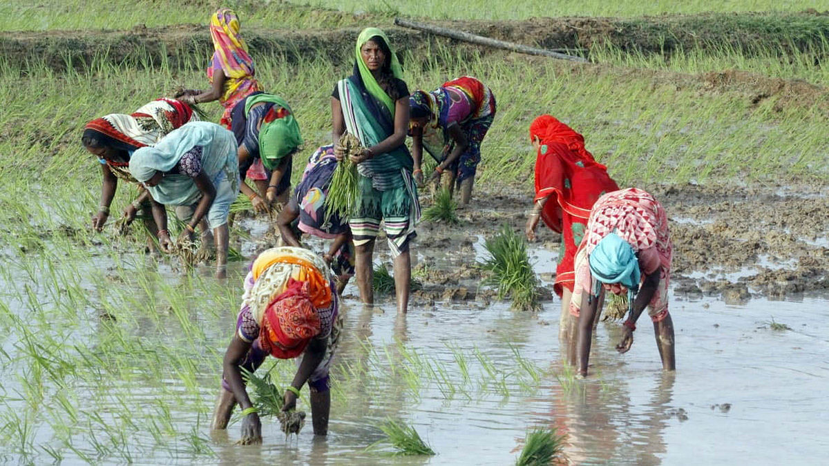 Tribals tilling land near Ghorawal in Sonbhadra. | Praveen Jain | ThePrint