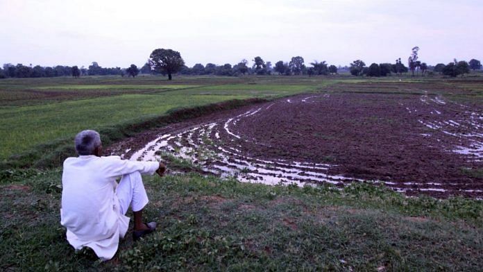 The field in which Gond tribals were allegedly massacred by their Gujjar pradhan on 17 July in Ubha village, Sonbhadra district. | Praveen Jain | ThePrint
