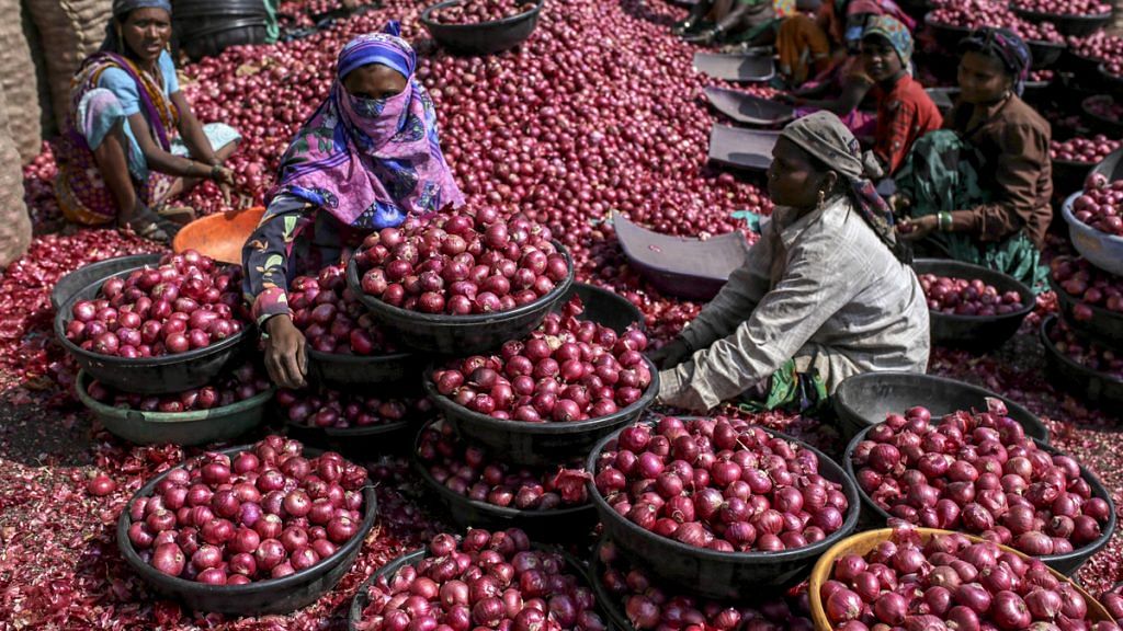 Workers sort onions at the Agriculture Produce Market Committee wholesale market in Lasalgaon, Maharashtra | Dhiraj Singh/Bloomberg