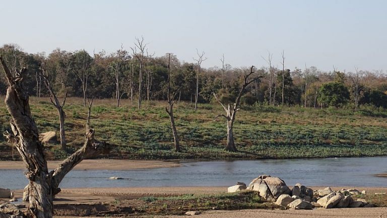 Pench national park has a problem of two states and one forest