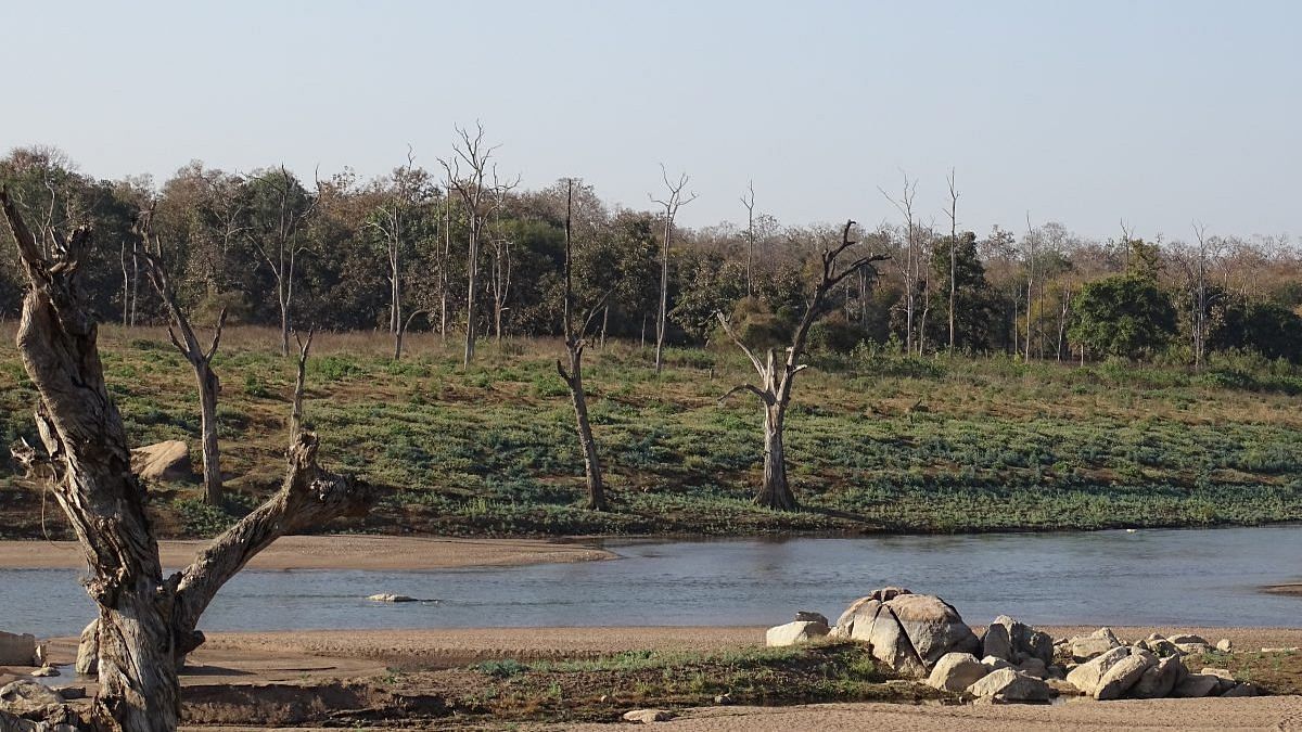 Pench National Park, History, Vegetation, Flora and Fauna