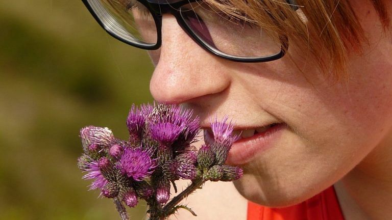 How nanotechnology can be used to intensify our sense of smell