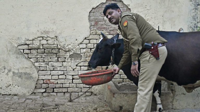 From Constituent Assembly to Azam Khan, Indian Muslims have supported cow slaughter ban