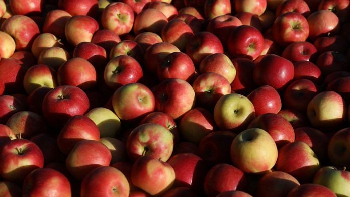 Honeycrisp apples at Fishkill Farms in Fishkill, New York, U.S. | Bloomberg