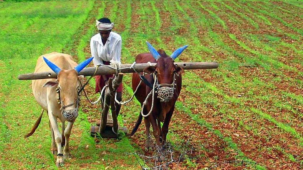 Representational image of farming in India