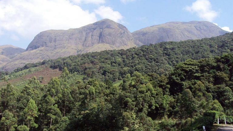 Not only development work, Western Ghats face threat from plantations and agriculture too